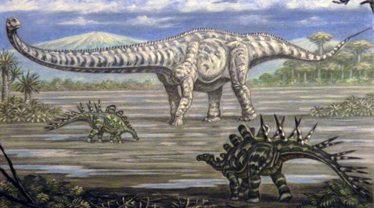 Cientistas descobrem dinossauro com pescoço 3 metros mais longo que um ônibus | Mundo & História