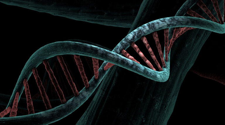 Que tal assinar um 'streaming' sobre você? Teste de DNA traz resultados semanais | Mundo & História