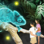 Divulgação / Hologram Zoo