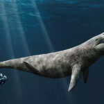 Crânio de 'tiranossauro marinho' é descoberto no sul da Inglaterra | Mundo & História