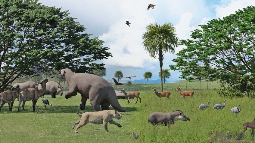 Extinção de megafauna há 10 mil anos reorganizou ecossistemas terrestres, indica estudo | Mundo & História