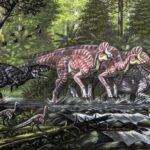 Fósseis revelam 'última refeição' de primo do Tiranossauro Rex | Mundo & História