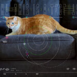 NASA transmite vídeo de gato para a Terra usando laser | Mundo & História