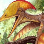 Pesquisadores brasileiros e chineses anunciam espécie de pterossauro | Mundo & História