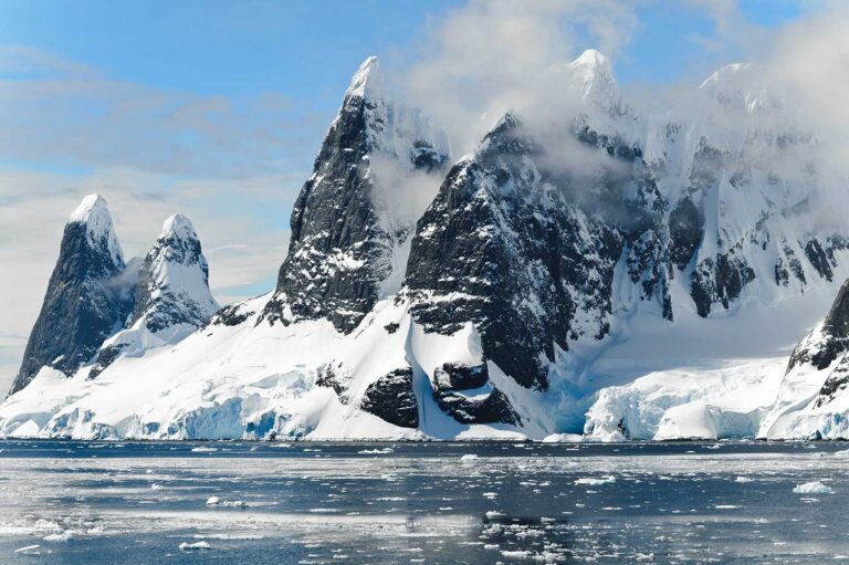 Pesquisas brasileiras ajudam a entender vida na Antártida | Mundo & História