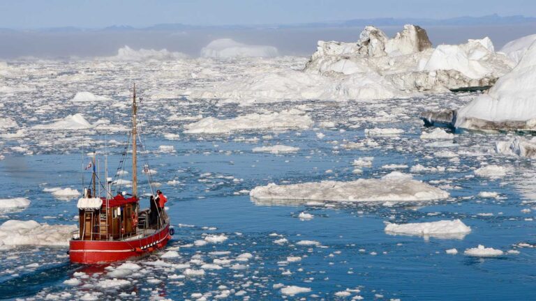 Groenlândia perdeu mais gelo do que se esperava, diz estudo | Mundo & História