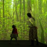 Sentir Mundo: exposição imersiva mostra habitat e vida de insetos | Mundo & História