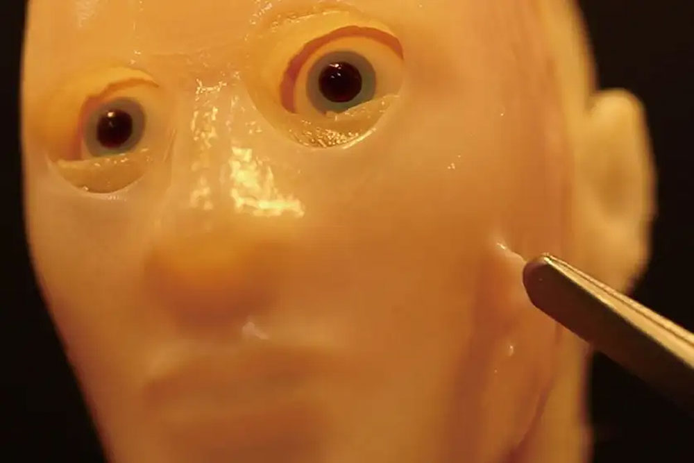 Robô ganha rosto com pele viva criada em laboratório | Mundo & História