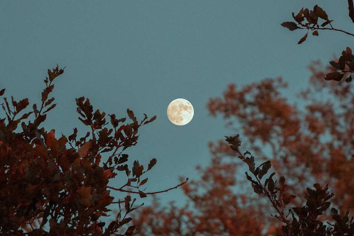 Dia Internacional da Lua: data pede exploração sustentável | Mundo & História