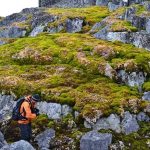 Área verde na Antártida aumenta 10 vezes em 40 anos | Mundo & História