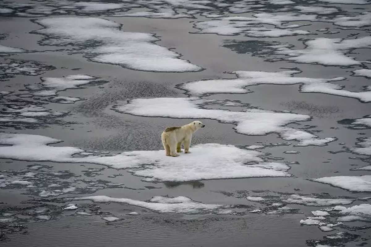 Clima extremo mata quase 800 mil pessoas no mundo em 30 anos | Mundo & História